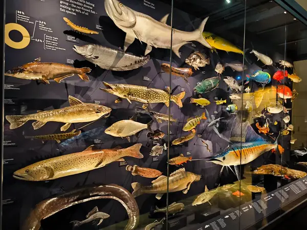 10.02.2025 National Museum Czech Republic