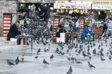 İstanbul, Türkiye - 05 / 02 / 2008: Yerel ve güvercinler İstanbul 'daki bir meydanın dinamik atmosferine karışıyorlar.