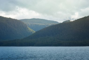 Ketchikan, Alaska 'da denize bakan ormanla kaplı tepelerin manzarası