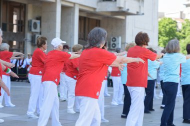 Rusçuk, Bulgaristan - 06 / 03 / 2025: Bir grup üst düzey kadın, aktif yaşlanma girişimleri kapsamında fiziksel aktivite, denge, hareketlilik ve toplumsal etkinliği destekleyen eşzamanlı bir açık hava tatbikatına katılıyor.