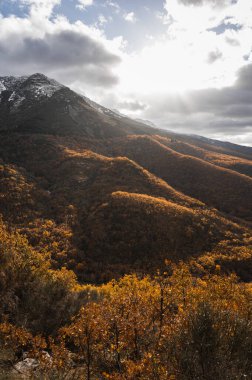 Karlı dağlar ve sonbahar ormanı