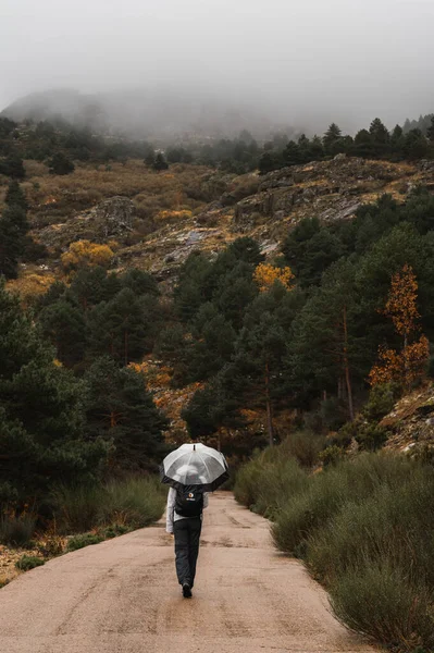 Wandelaar Met Paraplu Door Herfstbos Besneeuwde Bergen — Stockfoto