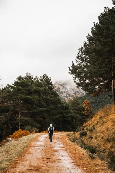 Sonbahar ormanlarında yürüyüş yapar ve yerde yapraklar bırakır.