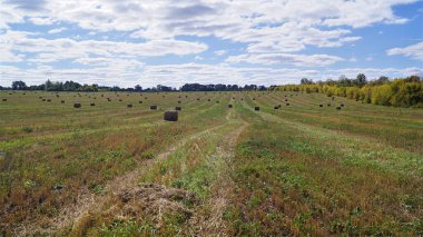 Bulutlu bir gökyüzünün altında saman balyalarıyla dolu geniş bir tarla..