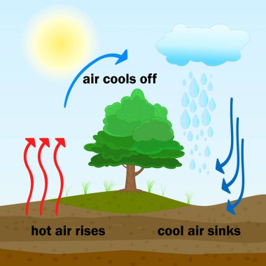 Convection process diagram. Warm air rises and cool air sinks. Hot and cooler air masses. Cloud formation process. Thermal warm and cold air circulation diagram. Science poster design. Stock vector illustration