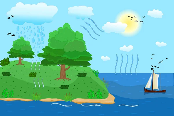 Wasserkreislauf Der Natur Kreislauf Und Wasserkondensation Erdhydrologisches Prozessdiagramm Umweltzirkulation Mit — Stockvektor