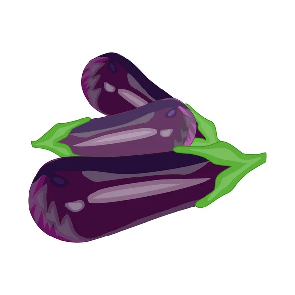 Lilek Izolovaný Bílém Pozadí Fialové Čerstvé Lilky Zralé Skupina Zeleniny — Stockový vektor