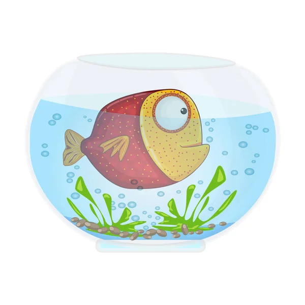 Kreslená Akvárium Legračními Modrými Rybami Vodou Řasami Řasami Kameny Bublinami — Stockový vektor
