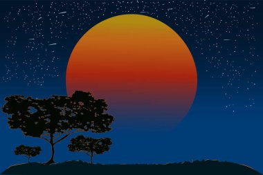 Gün batımında akasya ağaçları siluetleri. Afrika ya da Avustralya ağaçlarla, turuncu güneşle ve akşam gökyüzüyle vahşi bir yer. Kopya alanı olan gece savanası afişi. Mor gün batımlı ya da gün doğumlu manzara. Alacakaranlık doğasının arka planı. Stok vektör illüstrasyonu