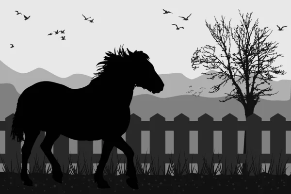 Horse Silhouette Wooden Fence Steed Meadow Paddock Rustic Countryside Country — Stock Vector