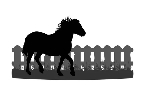 Φιγούρα Αλόγου Ξύλινο Φράχτη Πατάτε Λιβάδι Μάντρα Ρουστίκ Εξοχή Αγροτικό — Διανυσματικό Αρχείο