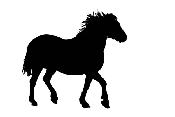 Pferdesilhouette Isoliert Auf Weißem Hintergrund Laufendes Pferd Schwarze Silhouette Wilde — Stockvektor