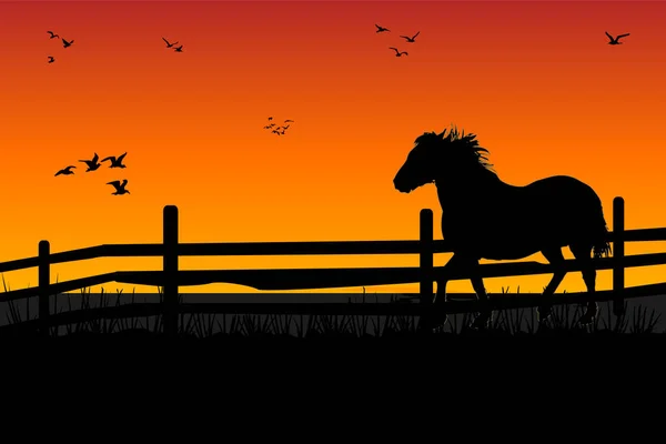 Фермерская Лошадь Пасущаяся Лугу Деревянным Забором Вечерняя Сцена Ранчо Силуэт — стоковый вектор