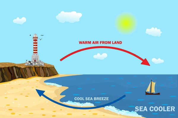 Science Poster Design Sea Land Breeze Shore Wind Scheme Air — Stock Vector
