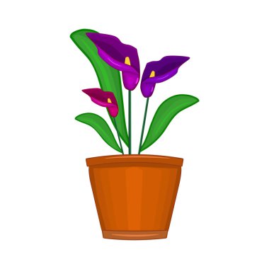 Saksıdaki çiçekler beyaz arka planda izole edilmiş. Zambaklı terracotta saksısı. Ev dekorasyonu, pencere pervazı, bahçe ya da ofis için kilden vazoya konmuş ev bitkisi. Bahar mevsiminde saksı bitkisi. Stok vektör illüstrasyonu