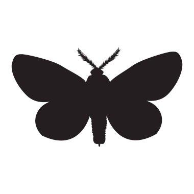 Kelebek silueti beyaz arka planda izole edilmiş. Kelebeklerin basit şekli. Kelebek siyah ikonu. Uçan kelebekler silueti. Stok vektör illüstrasyonu