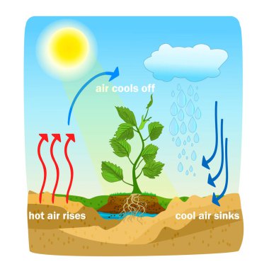 Convection process diagram. Warm air rises and cool air sinks. Hot and cooler air masses. Cloud formation process. Thermal warm and cold air circulation diagram. Science poster design. Stock vector illustration