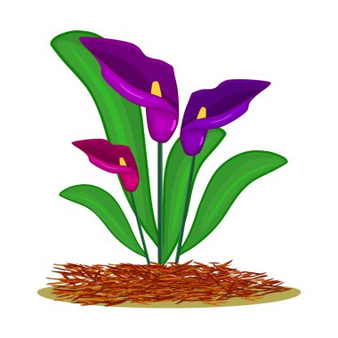 Beyaz arka planda çiçek ve kırmızı gübre içeren çimenlik konsepti izole edilmiş. Bitkilerin çimenliği, toprak koruması. Peyzaj tasarımı saman. Tarım kırsal alanda mevsimlik işler. Stok vektör illüstrasyonu