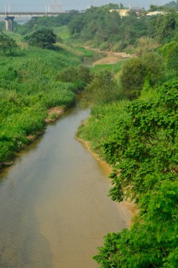 A Serene River Flows Through a Verdant, Untouched Landscape with a Distant Bridge.