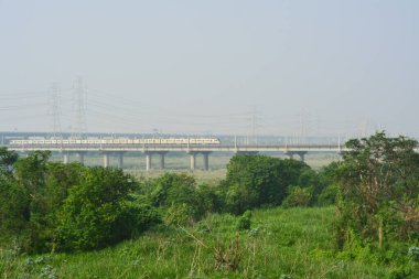 Elevated train track with a high-speed rail, lush greenery, and an electric tower in the countryside.