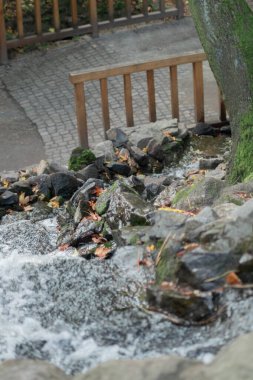 Polonya 'da küçük yapay şelale ve taşların bileşimi