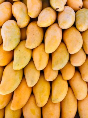 Close-up photo of Mango in fruit market. Group of fruits background.