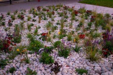 Canlı bir çiçek bahçesi, şehir parkında pürüzsüz çakıl taşlarıyla çevrili çeşitli bitkiler ve renkli çiçeklerle doludur. Öğleden sonra ışığı sahneyi güzelleştiriyor, sakin bir atmosfer yaratıyor..