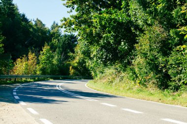 Güzel, dolambaçlı bir yol açık mavi bir gökyüzünün altında canlı yeşil bir orman boyunca kıvrılır. Uzun ağaçlar ve renkli yapraklar yol kenarında sakin bir atmosfer yaratıyor..