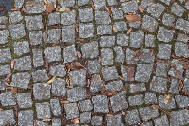 Bu açık hava sahnesinde küçük kare taşlardan yapılmış düz olmayan taş kaldırımlar var. Sonbahar yaprakları yüzeye dağılmış, yola renk ve doku katıyor..