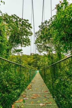 Asma köprü ve Sky Adventures Arenal Park 'ın doğası, La Fortuna, Kosta Rika. Orta Amerika .