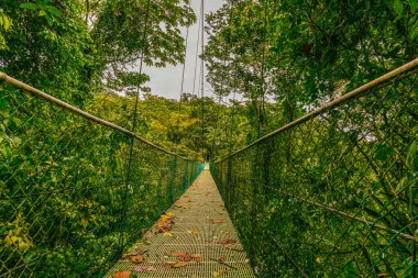 Asma köprü ve Sky Adventures Arenal Park 'ın doğası, La Fortuna, Kosta Rika. Orta Amerika .