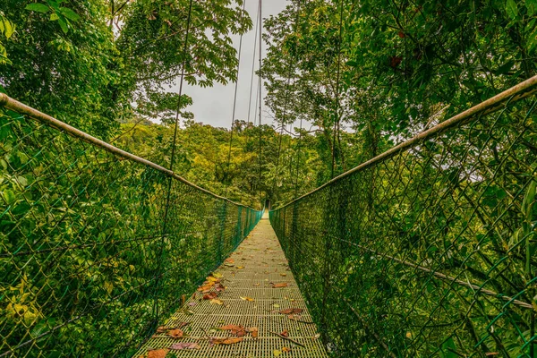Suspension bridge and nature of Sky Adventures Arenal Park, La Fortuna, Costa Rica. Central America .