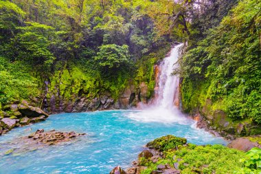 Catarata Rio Celeste, Waterfall, El Pilon İstasyonu, Tenorio Yanardağı Ulusal Parkı, Provincia de Alajuela, Guatuso, Kosta Rika.