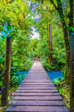 Rio Buenavista ve Quebrada Tarım 'ın kesiştiği yerde su kolları bir araya gelir ve su akuamarin, gökyüzü mavisi, açık mavi, turkuaz ve koyu mavi arasında değişen gölgelerde gözlemlenir.