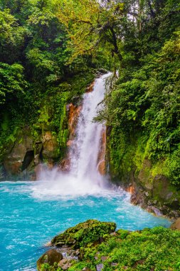 Rio Celeste Şelalesi ve Tenorio Volkan Ulusal Parkı, Alajuela Eyaleti, Kosta Rika.