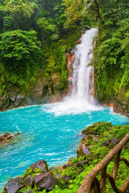 Rio Celeste Şelalesi ve Tenorio Volkan Ulusal Parkı, Alajuela Eyaleti, Kosta Rika.