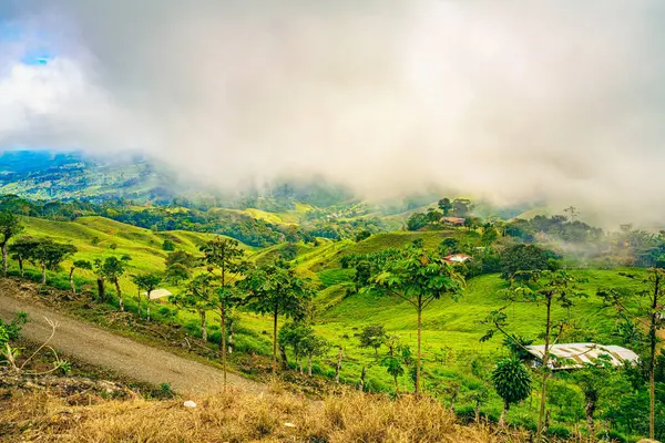 Levendig Landschap Van Uvita Costa Rica Met Glooiende Heuvels Een Rechtenvrije Stockfoto's