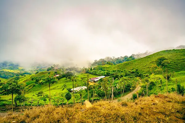 コスタリカのコスタレアス州のフォグキスした 転がる丘の広々とした景色は 熱帯の葉と素朴な住居で点在し これの穏やかで肥沃な風景を体現しています ストック写真