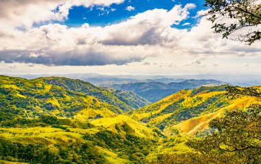 Monteverde 'nin yemyeşil yamaçları dinamik bir gökyüzü altında zengin biyolojik çeşitliliği ve Puntarenas Eyaleti, Kosta Rika' nın katmanlı dağ manzaralarını sergiliyor. Yüksek kalite fotoğraf