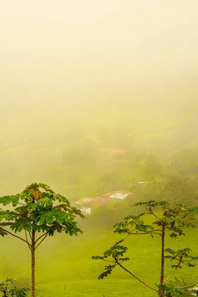Paesaggio Tropicale Nebbioso Inghiotte Case Rurali Tra Verde Lussureggiante Trasmettendo — Foto Stock