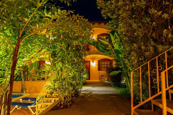 コスタリカのグアナカステ州でリラックスして夜に緑豊かな熱帯の葉を通って風が吹く 暖かい光に浸るプラヤヘルモサの居心地の良いホテルパス 高品質の写真 ストック写真