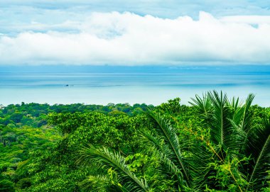 Bulutlu bir gökyüzü altında sakin bir mavi okyanusa doğru uzanan tropikal yağmur ormanlarının panoramik bir görüntüsü, ön planda yemyeşil yapraklar yer alıyor. Yüksek kalite fotoğraf. Kosta Rika, Pasifik Sahili.
