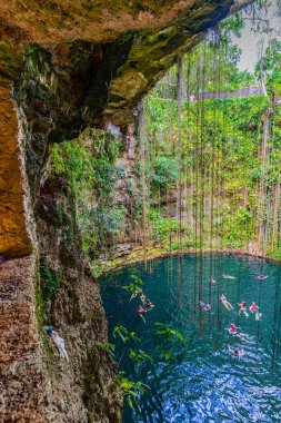 Ik-Kil Cenote, Meksika - 2 Ocak 2022 Chichen Itza, bereketli bitki örtüsü ve asma sarmaşıklarıyla çevrili kristal berraklığında turkuaz suyla sersemletici bir sanduka, doğal havuzun keyfini çıkaran yüzücüler