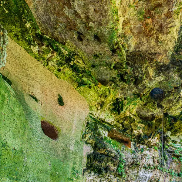 Canlı yeşil yosunlar, doğal dokular ve çatlaklarla bezenmiş kayalık bir göktaşı tavanına yakın plan, jeolojik güzelliğin yüksek kaliteli fotoğrafını sergiliyor. Ik Kil Cenote, Doğal Pit Yucatan, Meksika