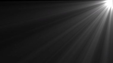 Siyah arkaplanda spot ışığı