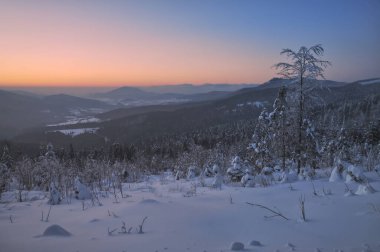 winter Evening in bavarian Forest National Park,Germany