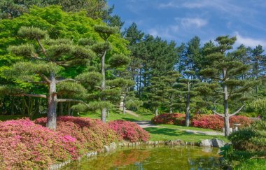Japanese Garden in public Nordpark,Dusseldorf,North Rhine Westphalia,Germany