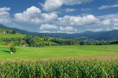 Lam köy Bavyera Ormanı, Bavyera, Almanya için görüntüleyin