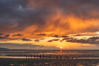 Sahilde gün batımı. Siluet içinde yamaç paraşütçüleriyle.