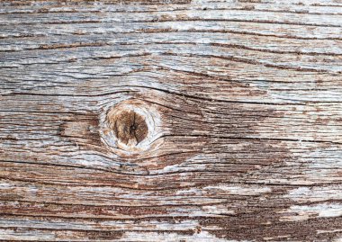 Tahtadaki kırsal tabakalar farklı renkler gösteriyor.